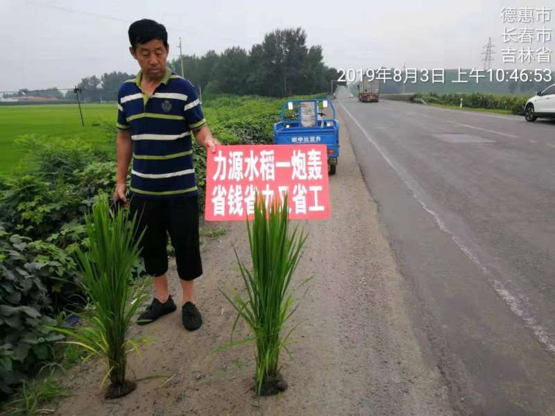 &#38886;&#24503;&#32593;&#31449;&#45;&#40;&#20013;&#22269;&#41;&#26377;&#38480;&#36131;&#20219;&#38886;&#24503;&#32593;&#31449;